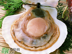 薺菜和扇貝可以一起吃嗎？薺菜扇貝湯的做法