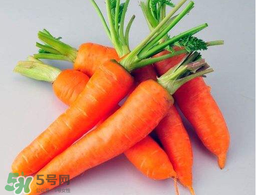 薺菜能和胡蘿卜一起吃嗎？薺菜可以和胡蘿卜一起吃嗎？