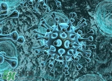 諾如病毒是什么病毒?諾如病毒是輪狀病毒嗎? 諾如病毒是什么病毒?諾如病毒是輪狀病毒嗎?