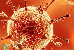 諾如病毒是什么病毒?諾如病毒是輪狀病毒嗎? 諾如病毒是什么病毒?諾如病毒是輪狀病毒嗎?