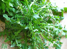 薺菜上有白點能吃嗎？薺菜背面有白點是什么？