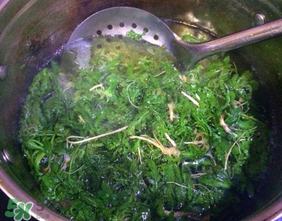 薺菜怎么焯水？薺菜焯水多久？