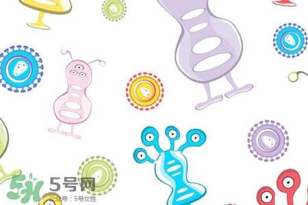 諾如病毒會(huì)發(fā)燒嗎？諾如病毒會(huì)引發(fā)高燒嗎？