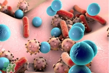 諾如病毒會(huì)發(fā)燒嗎？諾如病毒會(huì)引發(fā)高燒嗎？