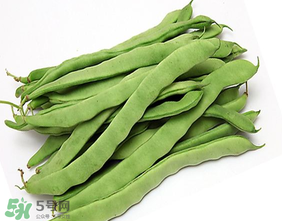 三月份可以種豆角嗎？豆角幾月份種？