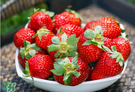 四月份還有草莓嗎？4月份還有草莓嗎？