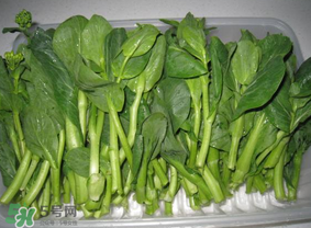 青菜苔可以吃嗎？青菜苔怎么做好吃？