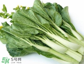 青菜苔可以吃嗎？青菜苔怎么做好吃？