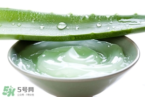 蘆薈的美容效果 蘆薈的美容功效 蘆薈的美容效果 蘆薈的美容功效