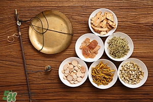 黨參的吃法 黨參的做法大全 黨參的吃法 黨參的做法大全