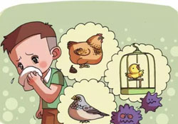 諾如病毒是禽流感嗎？春季重點預防禽流感和諾如病毒