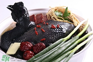 黨參的吃法 黨參的做法大全 黨參的吃法 黨參的做法大全