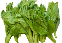 青菜苔可以吃嗎？青菜苔怎么做好吃？