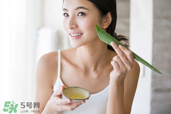 蘆薈的美容效果 蘆薈的美容功效 蘆薈的美容效果 蘆薈的美容功效