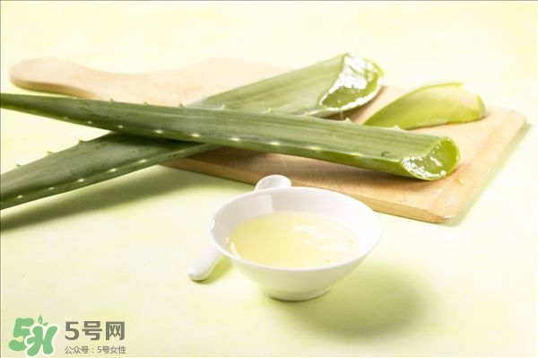 蘆薈的美容效果 蘆薈的美容功效 蘆薈的美容效果 蘆薈的美容功效