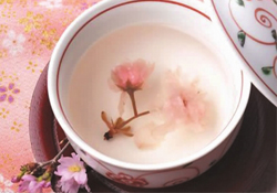 桃花酒孕婦可以喝嗎？懷孕了能喝桃花酒嗎？