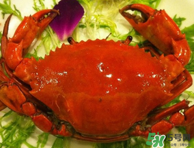 薺菜和螃蟹能一起吃嗎？薺菜螃蟹可以一起吃嗎？