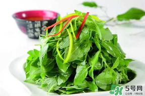 薺菜不能和什么一起吃？薺菜和什么相克？