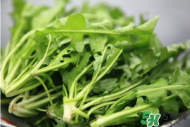 薺菜不能和什么一起吃？薺菜和什么相克？