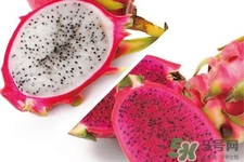 4月份有火龍果吃嗎？四月份可以吃火龍果嗎？