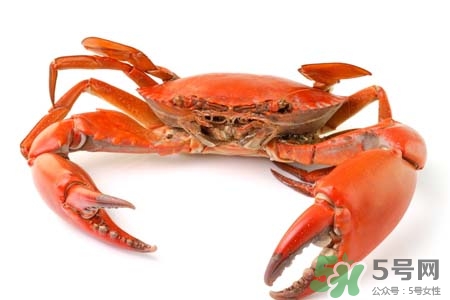 一年四季都能吃螃蟹嗎？一年四季都有吃螃蟹嗎？