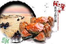 一年四季都有大閘蟹嗎？一年四季都可以吃大閘蟹嗎？