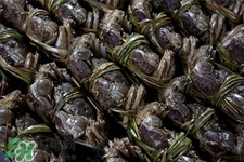 一年四季都有大閘蟹嗎？一年四季都可以吃大閘蟹嗎？