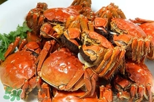 一年四季都有大閘蟹嗎？一年四季都可以吃大閘蟹嗎？