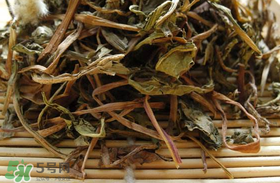 干的蒲公英多少錢一斤？蒲公英多少錢一斤干的？