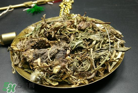 干的蒲公英多少錢一斤？蒲公英多少錢一斤干的？