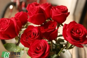 什么東西清火效果好？什么東西清火最快？