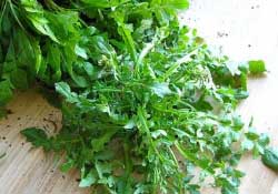 薺菜不能和什么一起吃？薺菜和什么相克？