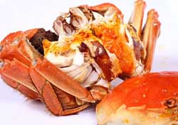 薺菜和螃蟹能一起吃嗎？薺菜螃蟹可以一起吃嗎？