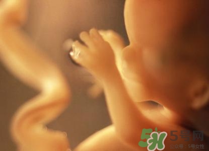 懷孕一個月可以同房嗎？懷孕一個月要注意什么