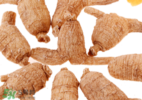 春天可以吃西洋參嗎？春天適合吃西洋參嗎？