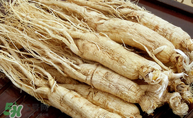 春天可以吃人參嗎？春季能進(jìn)補(bǔ)人參嗎？