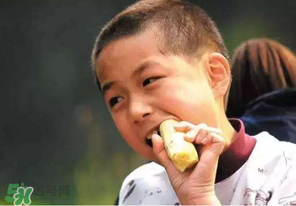 春天能吃甘蔗嗎？春天吃甘蔗有什么好處？