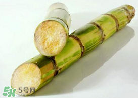 春天能吃甘蔗嗎？春天吃甘蔗有什么好處？