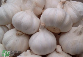 大蒜爛了一點(diǎn)還能吃嗎？大蒜爛根是怎么回事？