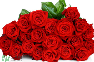 白色情人節(jié)是女生送男生禮物嗎？白色情人節(jié)是誰送誰？