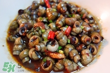 螺螄的營(yíng)養(yǎng)價(jià)值 螺螄的功效與作用 螺螄的營(yíng)養(yǎng)價(jià)值 螺螄的功效與作用