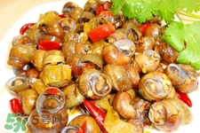 月經(jīng)可以吃螺螄嗎？生理期能吃螺螄嗎？