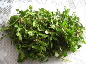 野生薺菜幾月份有？野生薺菜什么時候有？