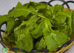 薺菜隔夜能吃嗎？隔夜的薺菜能吃嗎？