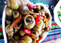 螺螄有寄生蟲(chóng)嗎？螺螄有寄生蟲(chóng)能吃嗎？