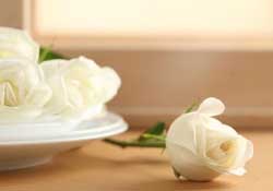 白色情人節(jié)送什么花？白色情人節(jié)送白玫瑰合適嗎？