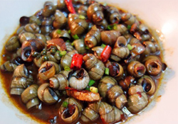 螺螄可以放冰箱保存嗎？新鮮螺螄能放冰箱嗎？