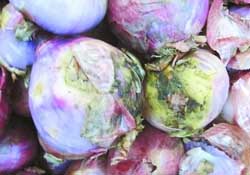 洋蔥心爛了能吃嗎？洋蔥中間爛了可以吃嗎？