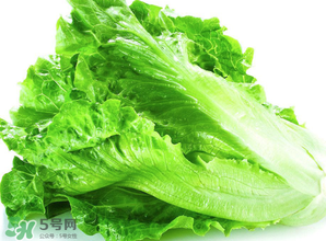 春天能種生菜嗎？生菜春天可以種嗎？