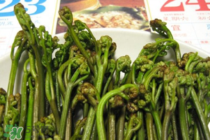 蕨菜為什么苦？蕨菜苦是怎么回事？